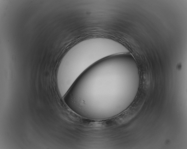 X0000097660320200802290928