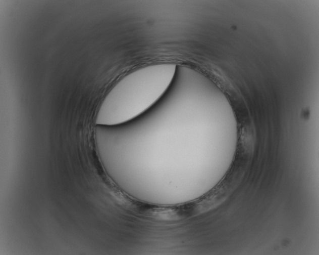 X0000097660322200802290928