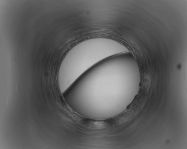 X0000097660324200802290928