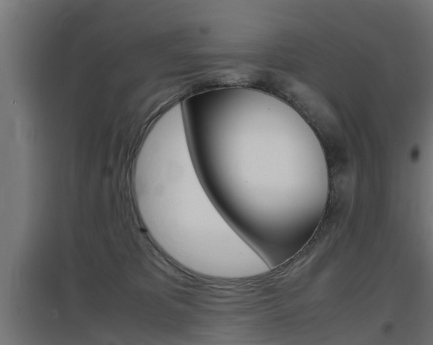 X0000097660325200802290928