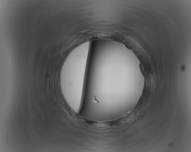 X0000097660327200802290928