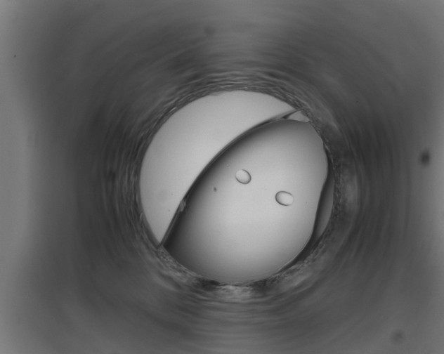 X0000097660328200802290928
