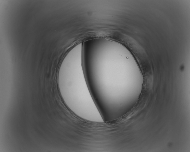 X0000097660329200802290928