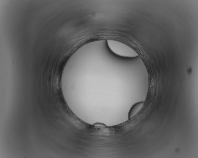 X0000097660330200802290928