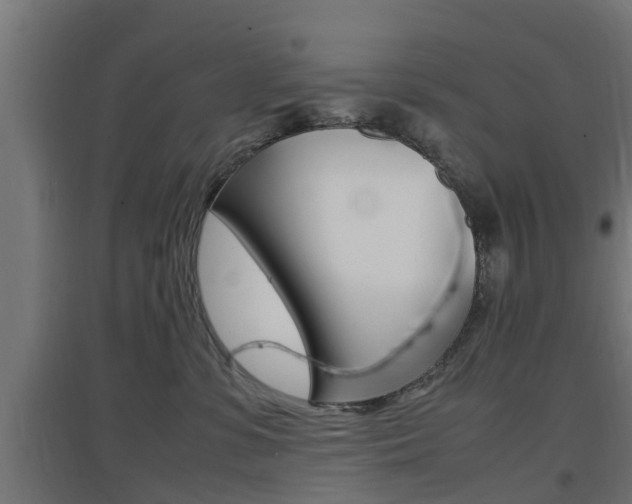 X0000097660331200802290928