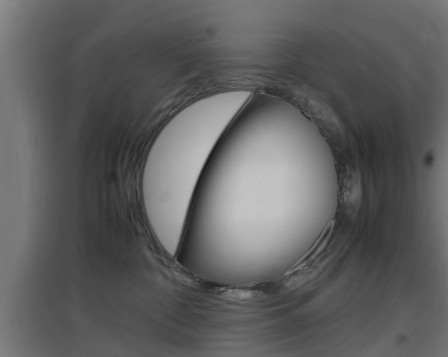 X0000097660332200802290928