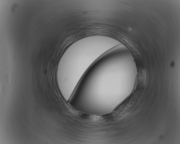 X0000097660333200802290928