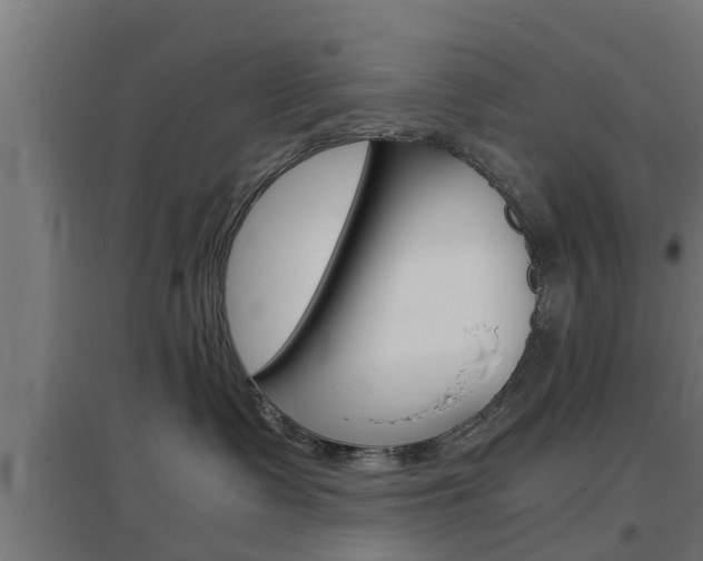 X0000097660335200802290928