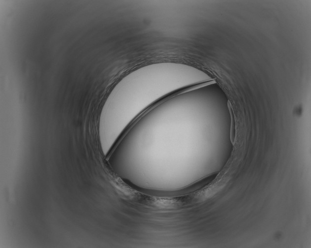 X0000097660336200802290928