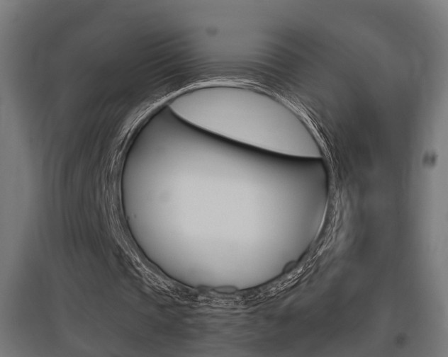 X0000097660337200802290927