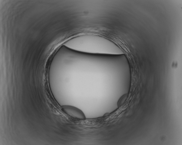 X0000097660338200802290927