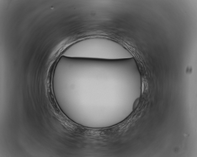 X0000097660339200802290927