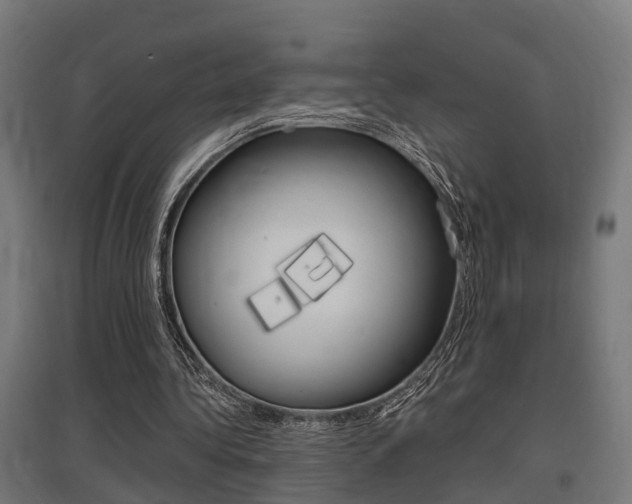 X0000097660340200802290927