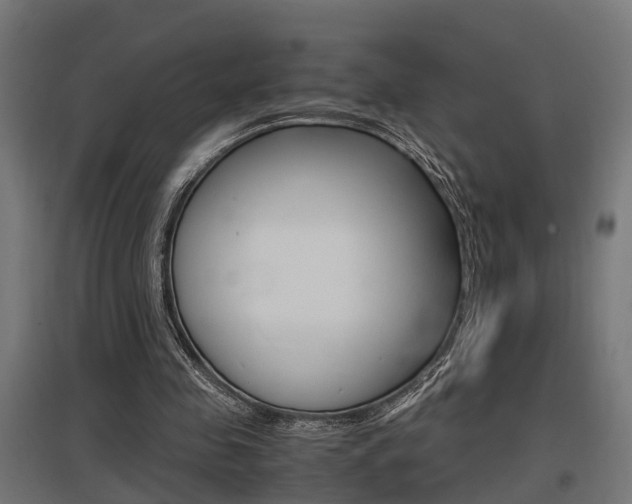 X0000097660341200802290927