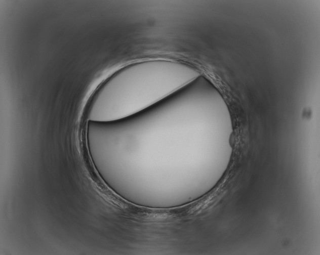 X0000097660342200802290927