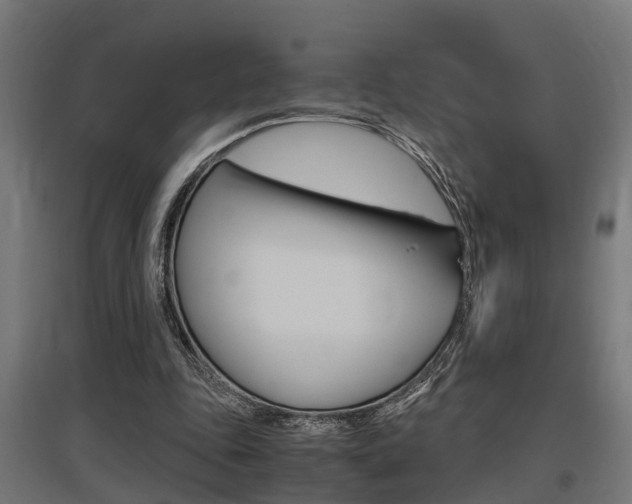 X0000097660343200802290927