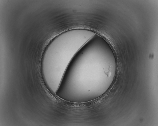 X0000097660345200802290927