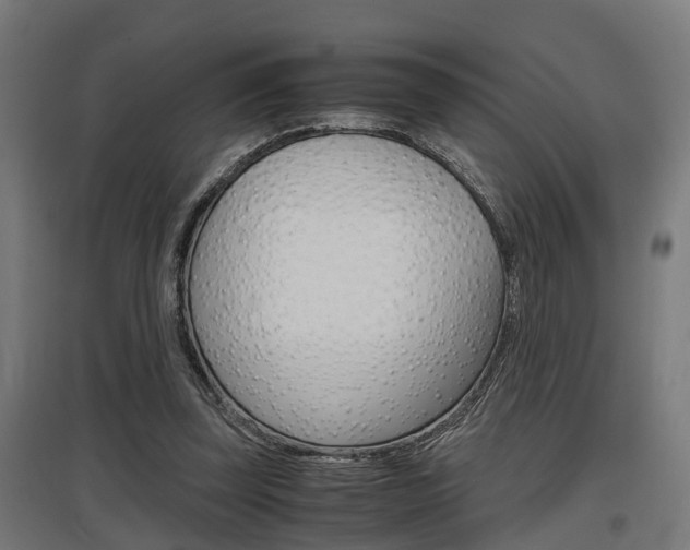 X0000097660347200802290927