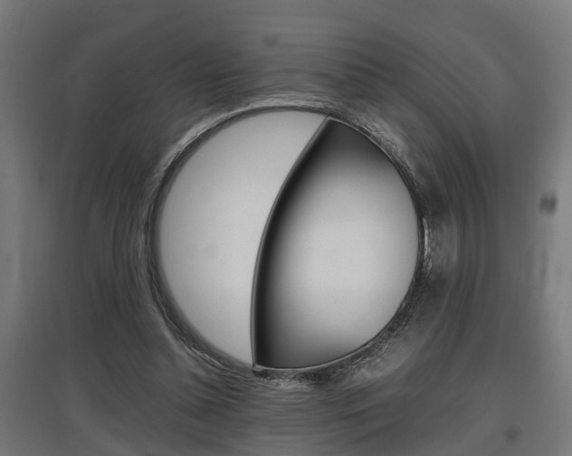 X0000097660348200802290927