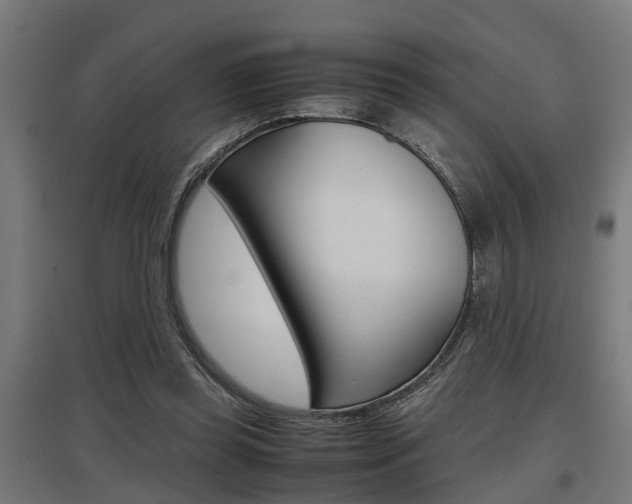X0000097660349200802290927