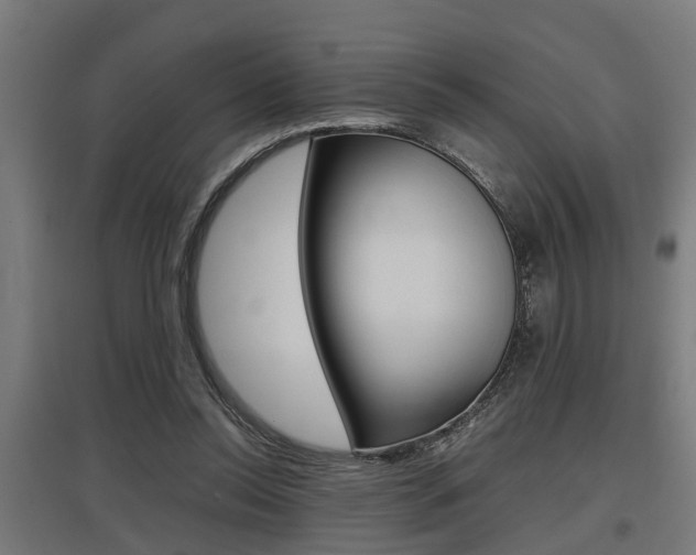 X0000097660350200802290927
