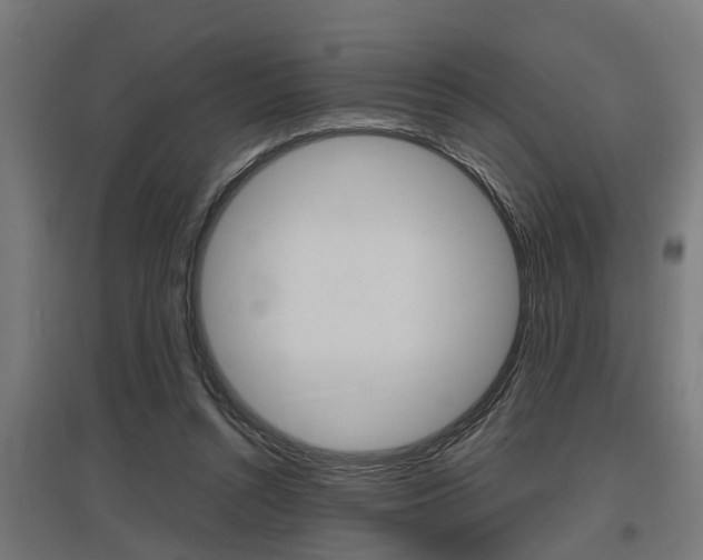 X0000097660352200802290927