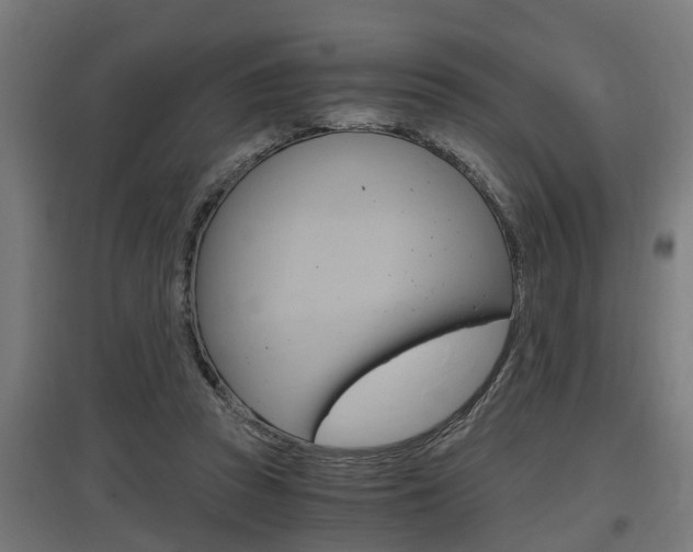 X0000097660353200802290927