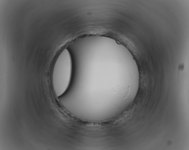 X0000097660354200802290927