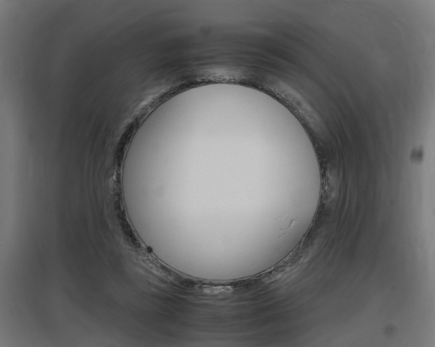 X0000097660355200802290927
