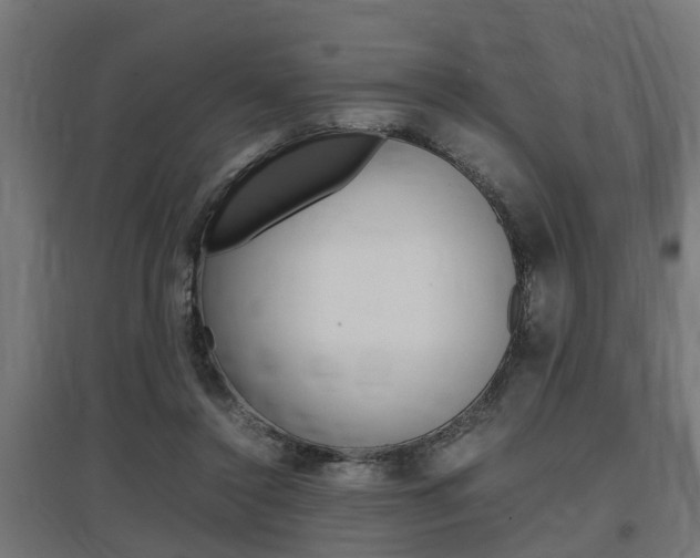 X0000097660356200802290927
