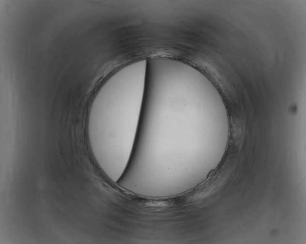 X0000097660357200802290927