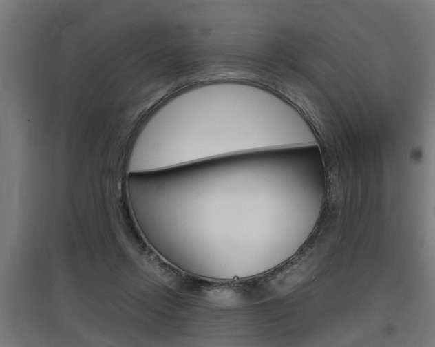 X0000097660358200802290927