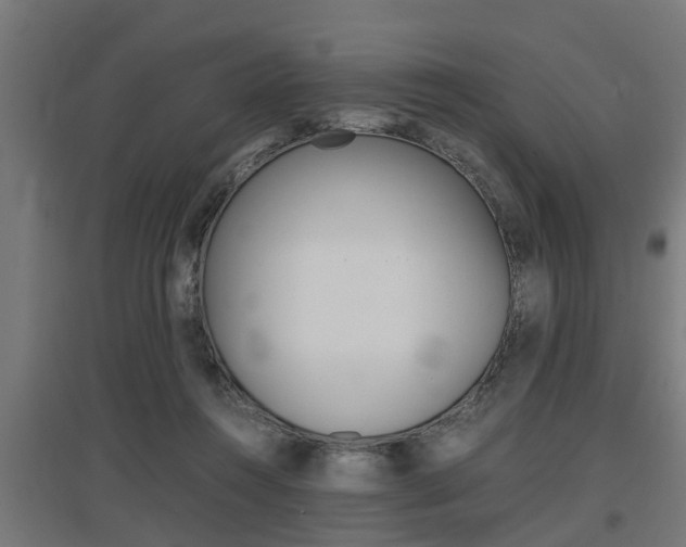 X0000097660360200802290927