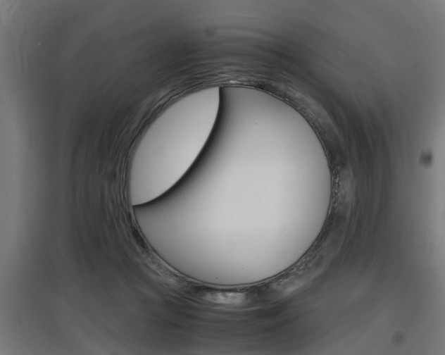 X0000097660361200802290927
