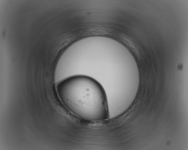 X0000097660362200802290927