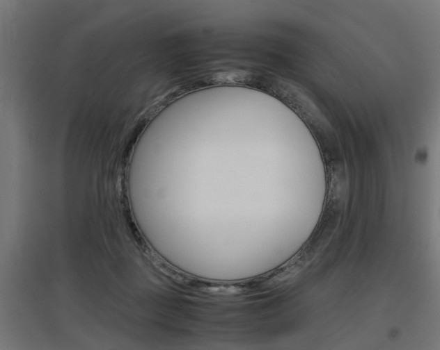 X0000097660363200802290927