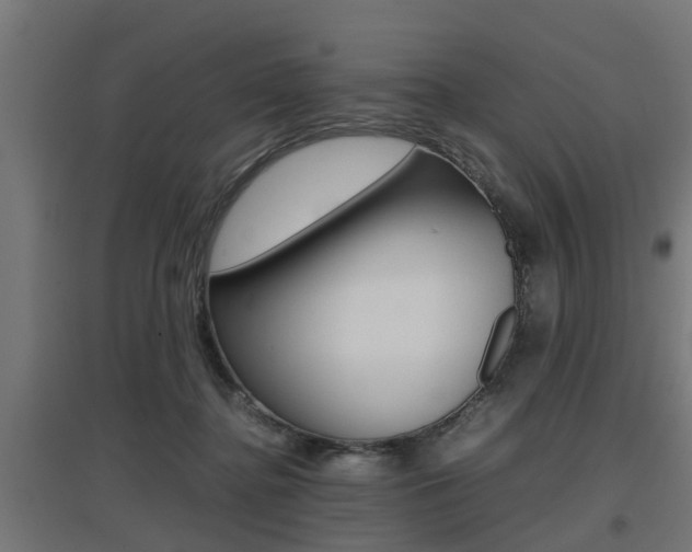 X0000097660364200802290927