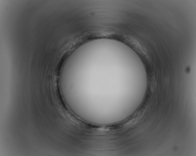X0000097660366200802290927