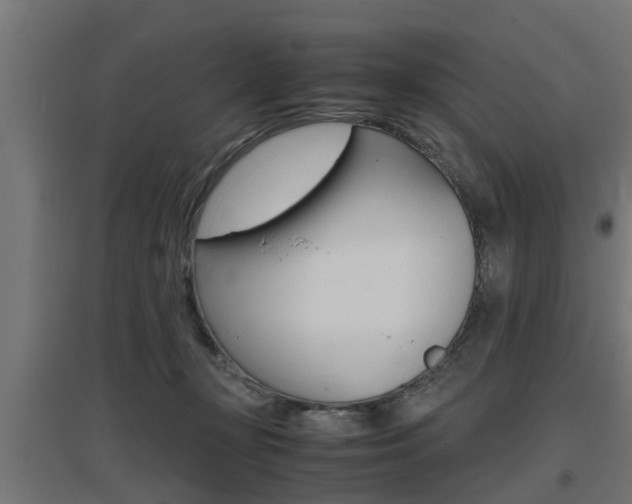 X0000097660367200802290927