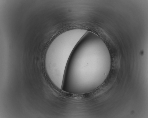X0000097660368200802290927