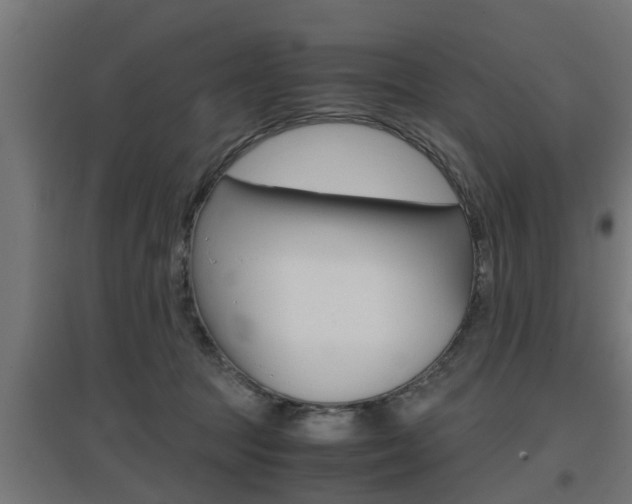 X0000097660369200802290927