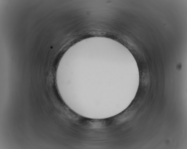 X0000097660370200802290927