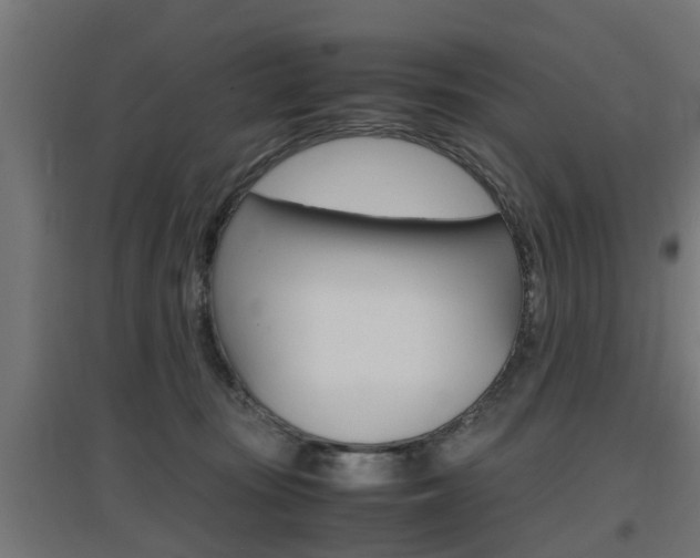 X0000097660371200802290927