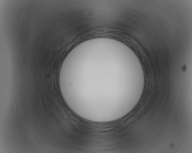 X0000097660372200802290927