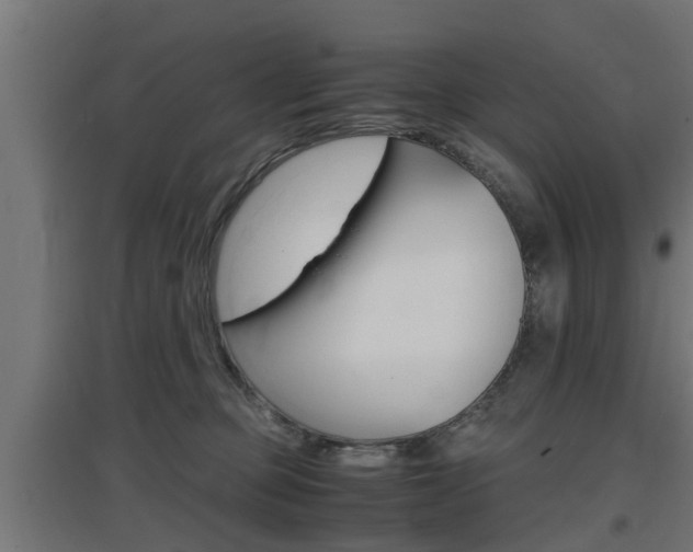 X0000097660373200802290927