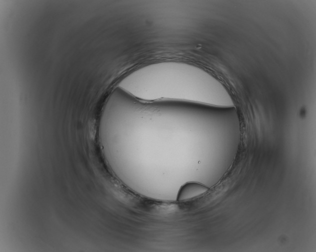 X0000097660374200802290927