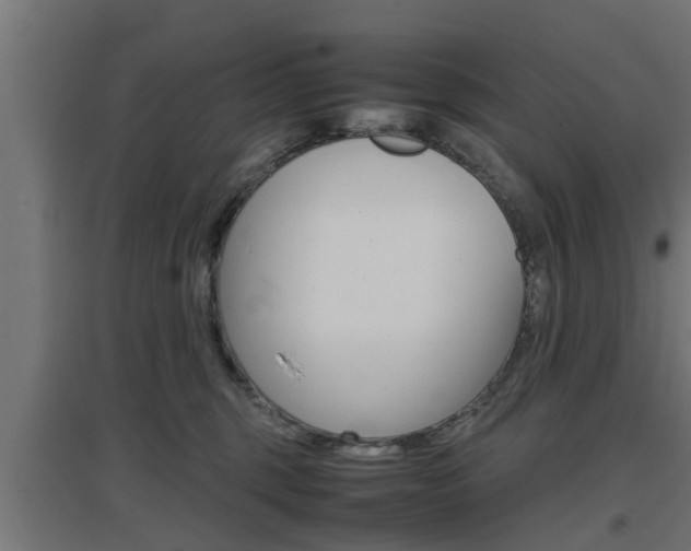 X0000097660375200802290927