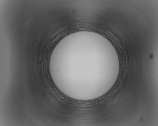 X0000097660376200802290927