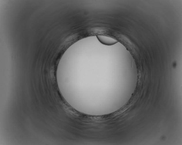 X0000097660377200802290927