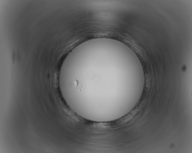 X0000097660378200802290928